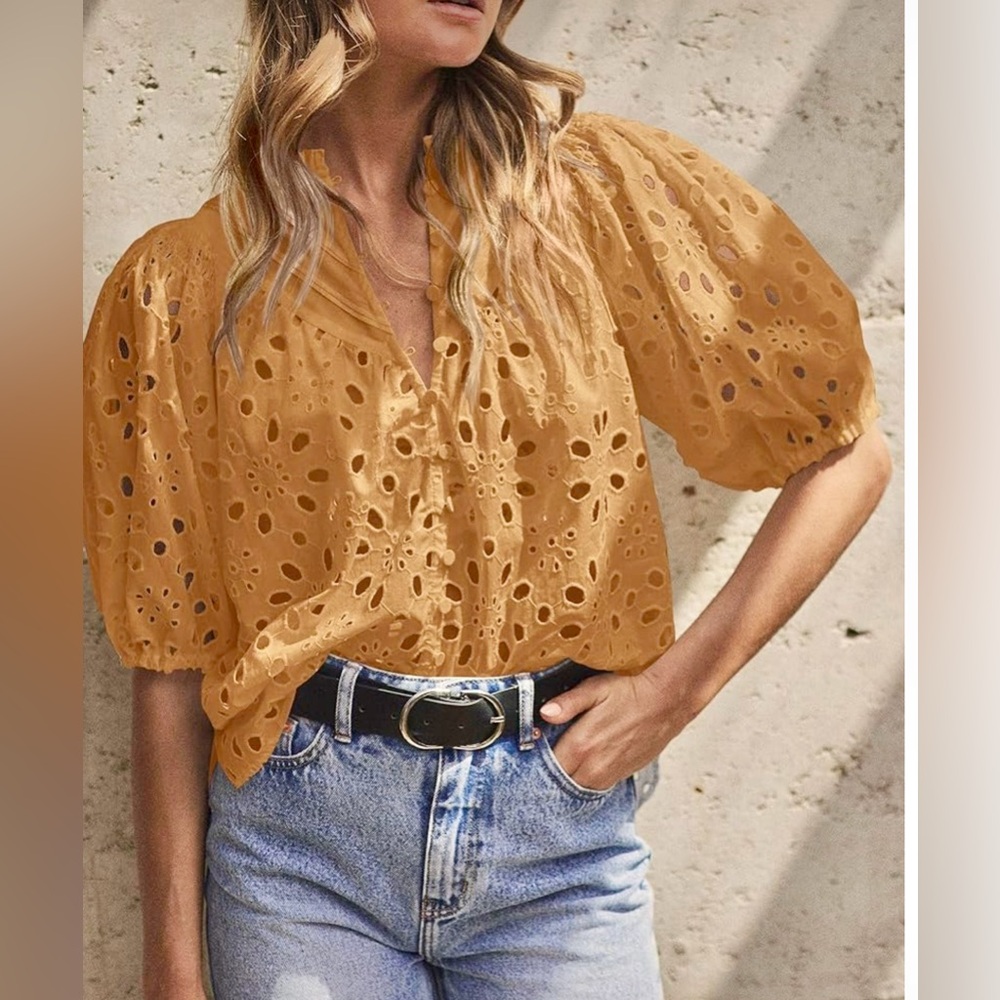 Lantern Sleeve V Neck Buttons Hollow Out Lace Embroidered Blouse
